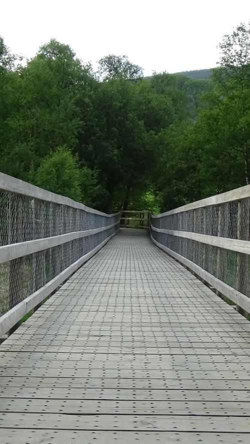 boardwalk planks wooden