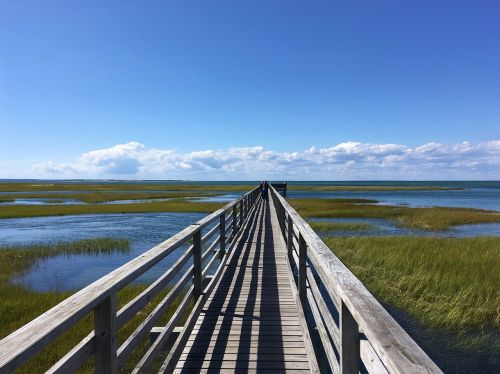 boardwalk long pier walking pier over marsh