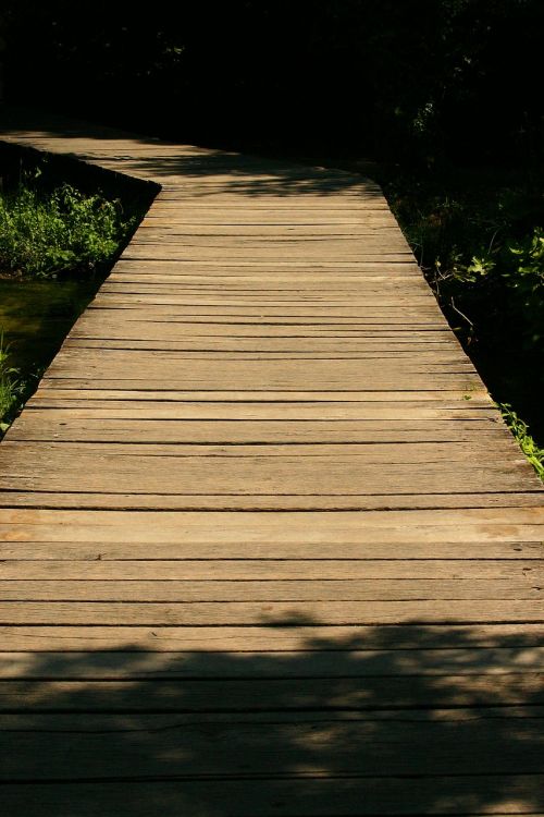 boardwalk forest nature trail