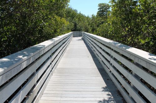 boardwalk deck perspective