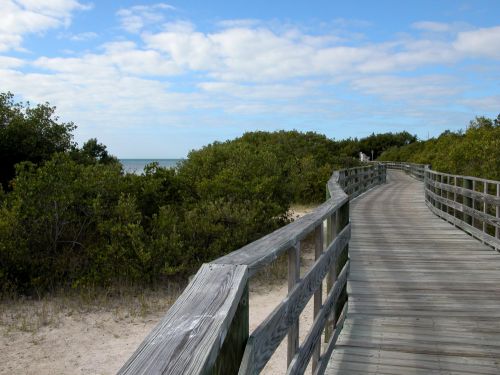 Boardwalk To The Beach