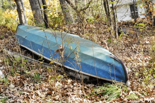 boat woods contrast