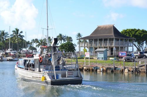 boat hawaii tropical