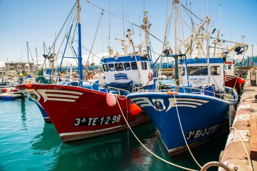 boat fishing fishing boat