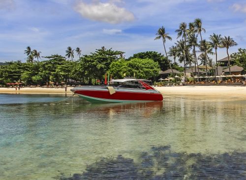 boat sea palms