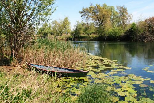 boat swamp hutovo blato