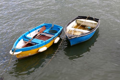 boat rowing boat row