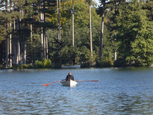 boat water forest