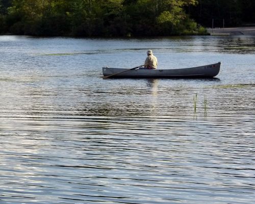 boat rowing rowboat