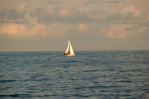 boat traffic business