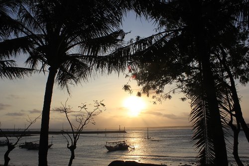 boat  beach  sea