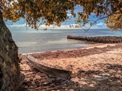 boat  beach  the sea