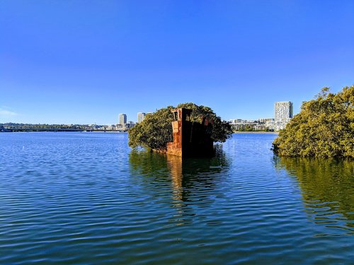 boat  abandoned  trees