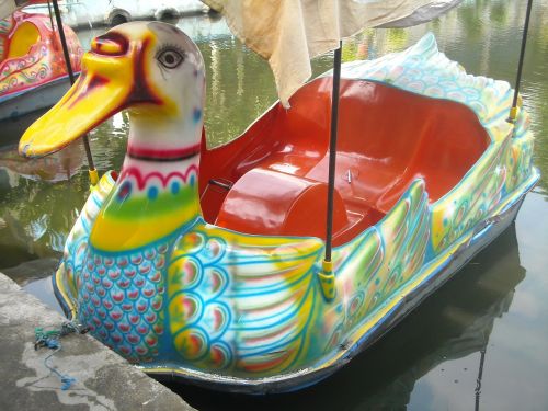 boat duck water
