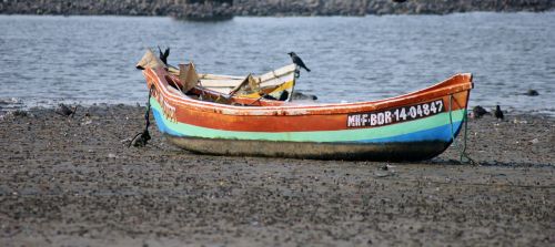 boat beach low tide