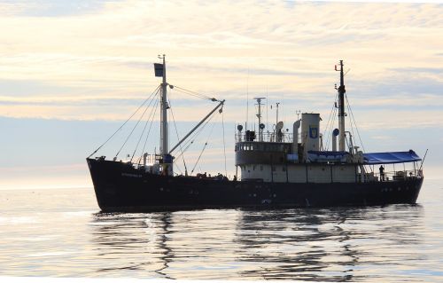 boat stockholm svalbard