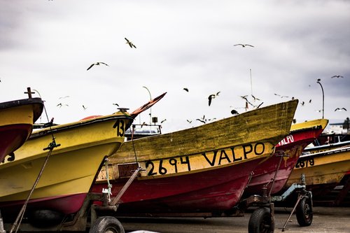 boat  fishing  sea