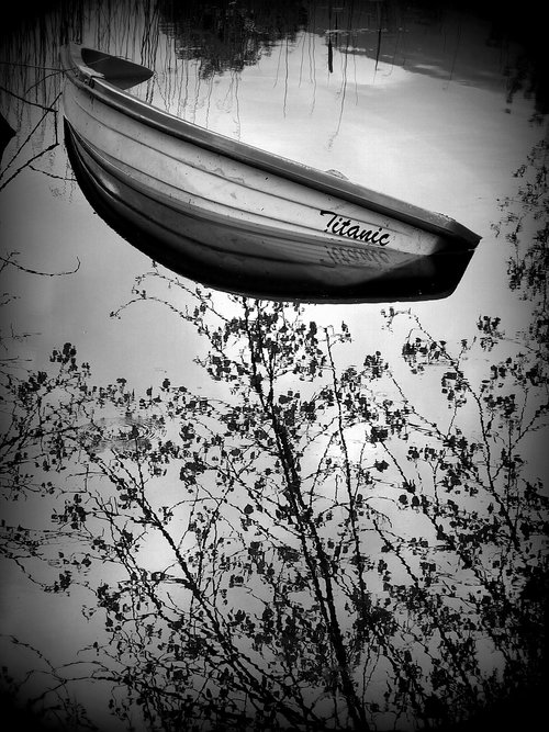 boat  lake  trees