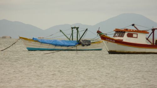 boat mar fishing