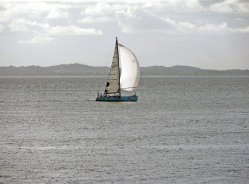 boat sail boat sailboat