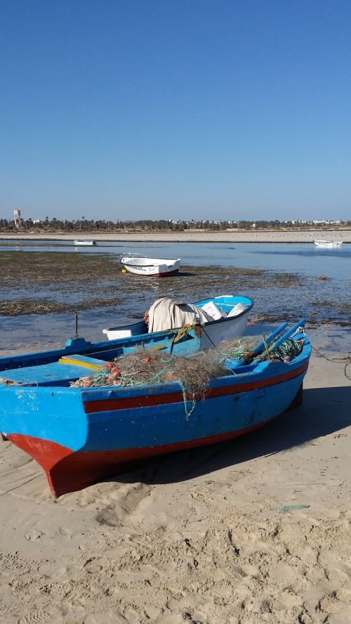 boat sea fish