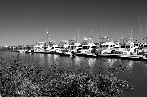 boat marina  boats  yacht