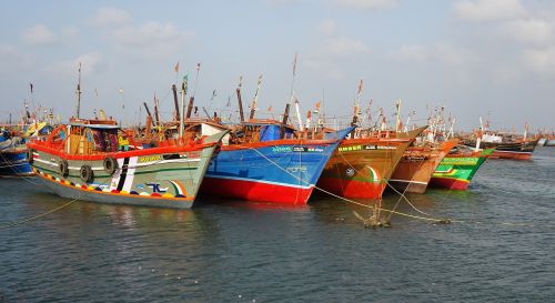 boats fishing anchored