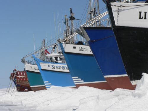 boats fishing winter