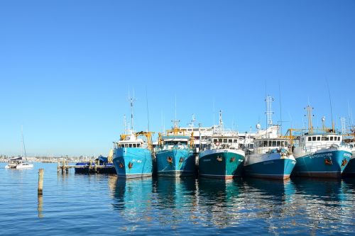 boats harbour moored