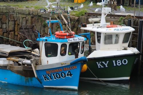 boats scotland harbour