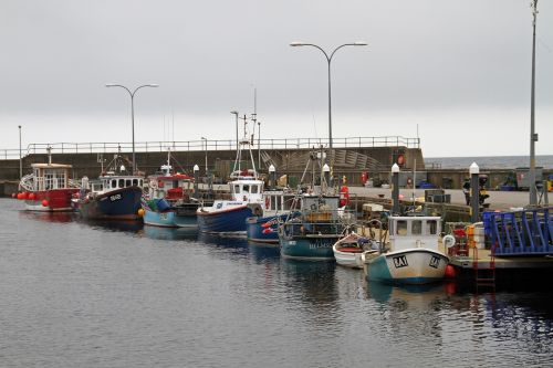 boats pier marina