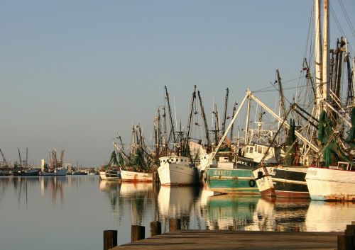 boats docked dock