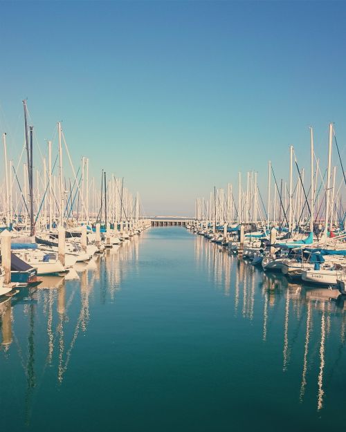 boats marina dock