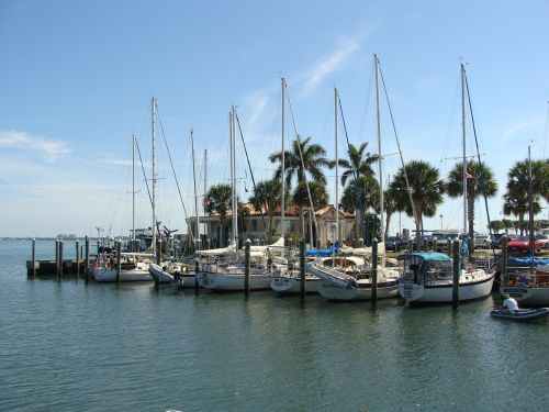 boats water palms