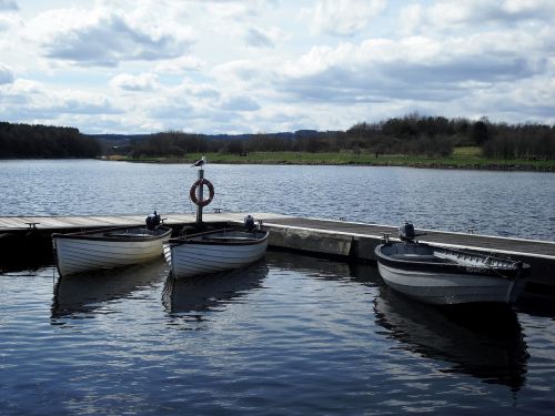 boats water rowing boats