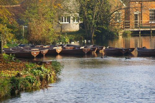 boats rowing water