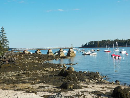 Boats In Harbor