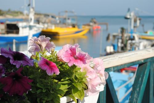 boats moored cyprus sea