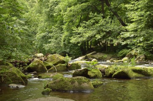 bode river water