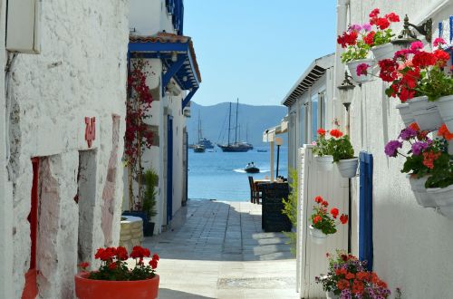 bodrum landscape turkey