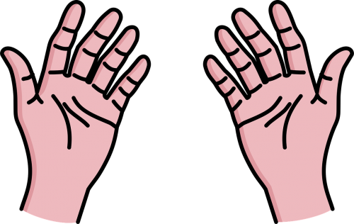 body forelimb gesture