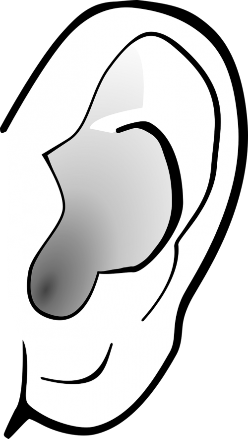 body drawing ear