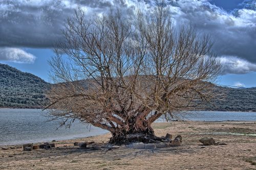 body of water nature landscape