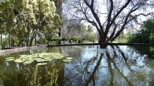 body of water nature river