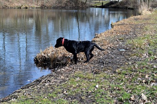 body of water  nature  outdoor