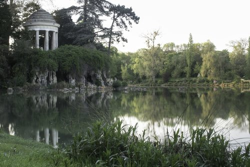 body of water  nature  tree