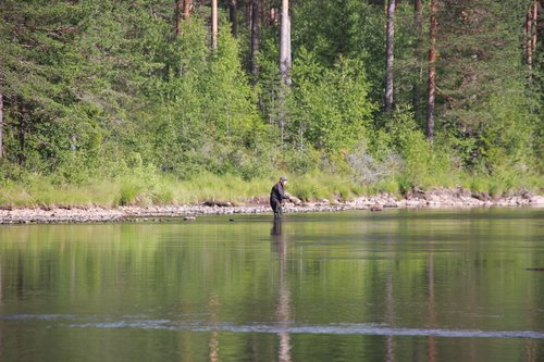 body of water  nature  wood