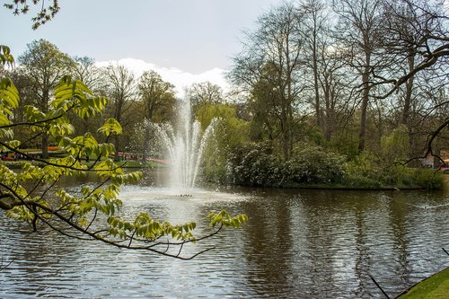 body of water  pond  fountain