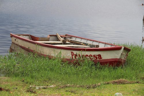 body of water  boat  summer