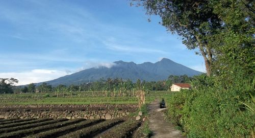 bogor mount salak village